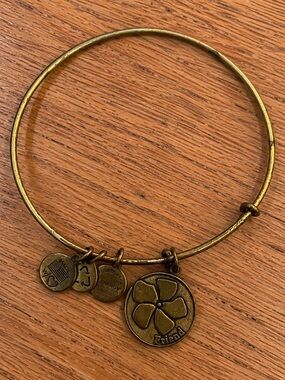 ALEX AND ANI Flower โFriendโ Vintage Bangle Bracelet 2014